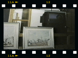 Foto8.gif (49066 byte)